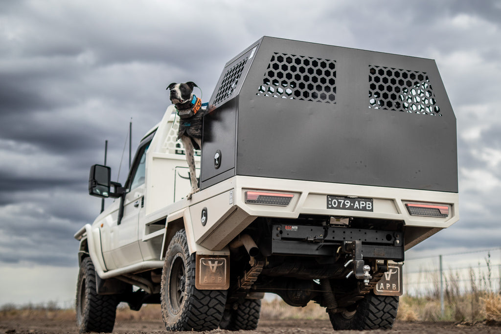 Pig chasing australia: lc79 1700mm full dog box canopy prototype