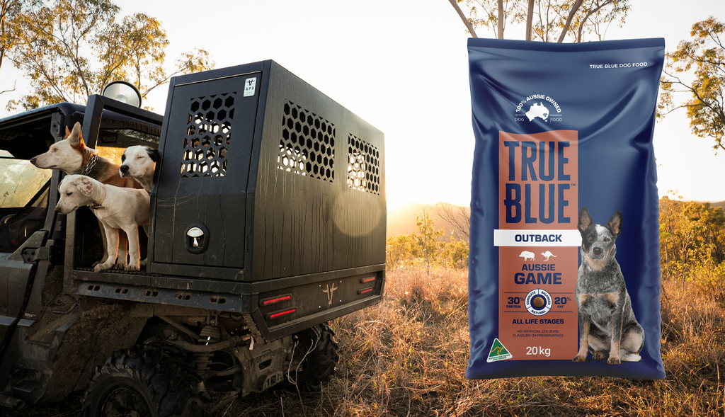 Unlock this august’s exclusive offer with true blue aussie pet food