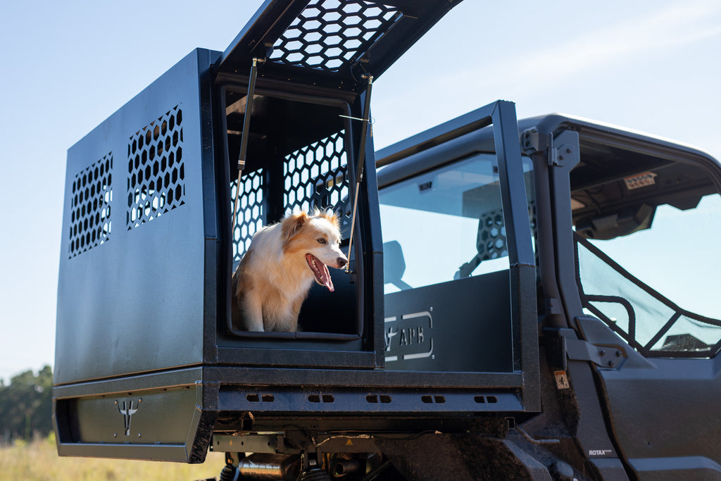 Dog With Box XL Canopies | Australian Performance Boxes