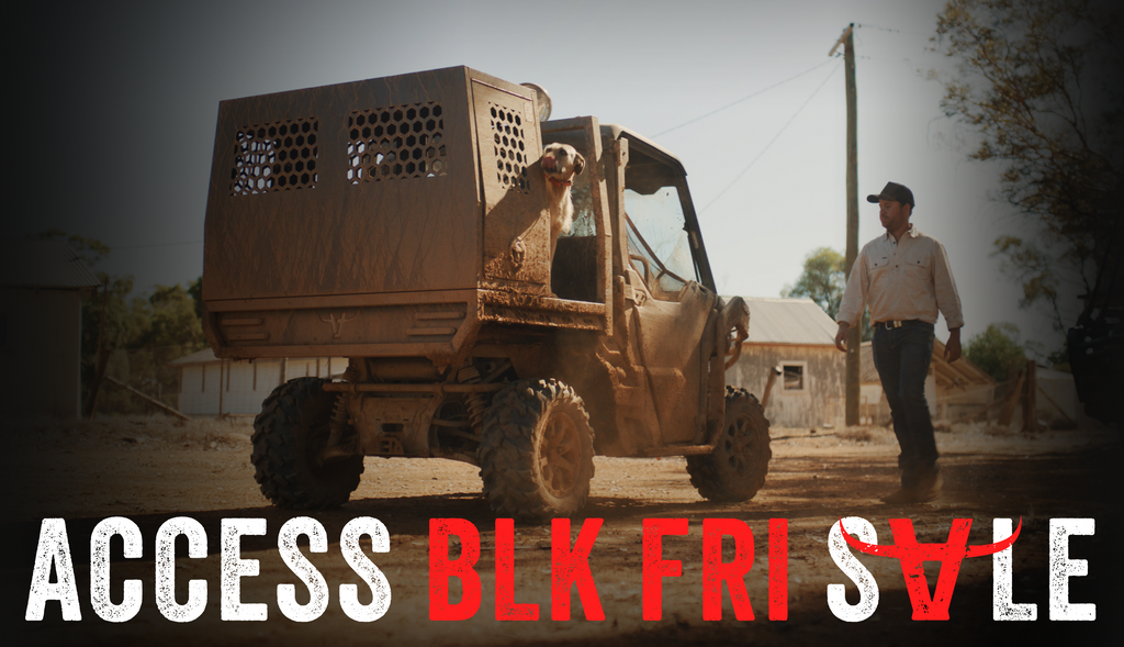 Apboxes bf2025 websitebanner 01