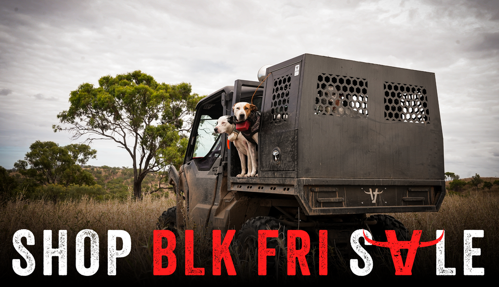 Apboxes bf2025 websitebanner 01 1