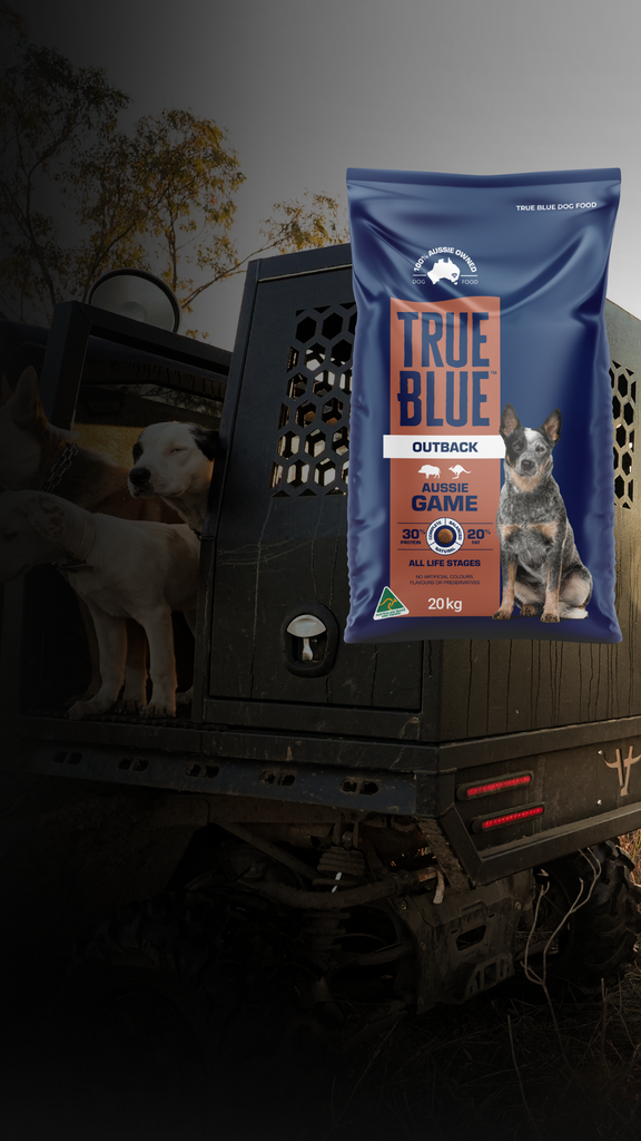 Apboxes truebluepromotion mobilebanner 01 1501bf64-4cd0-4305-8140-7d56169cfc5c