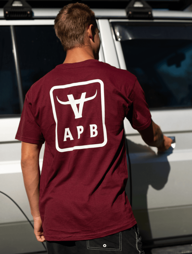 Apb logotshirt 04 1 2x-min