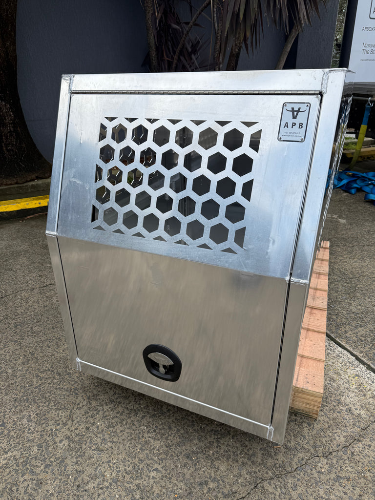 Apboxes metal dog box photographed from the front, showcasing the door and locking mechanism.