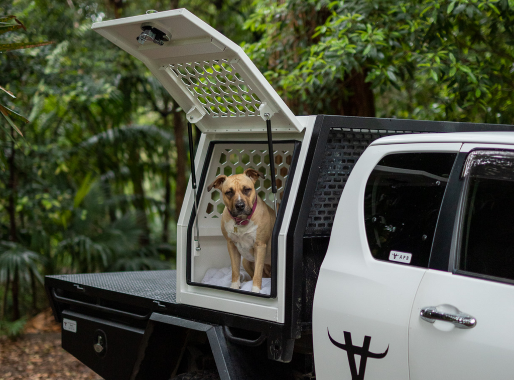 Dog top box australia